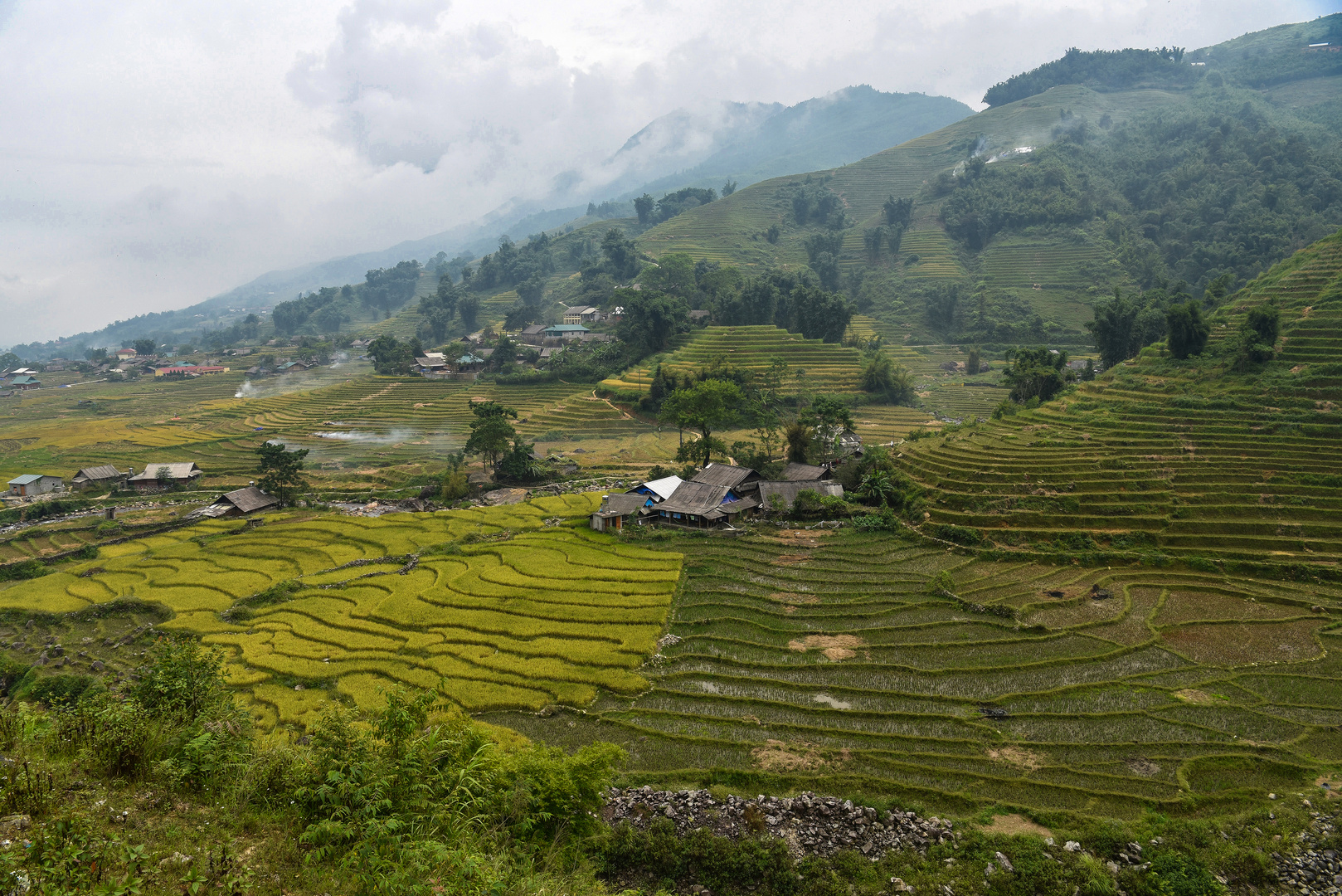 Reisterrassen bei Sapa 09