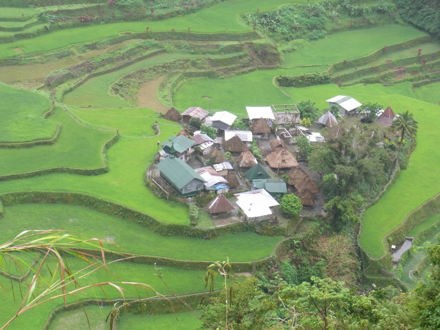 Reisterrassen in Banaue