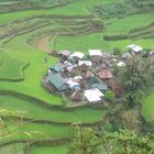 Reisterrassen in Banaue