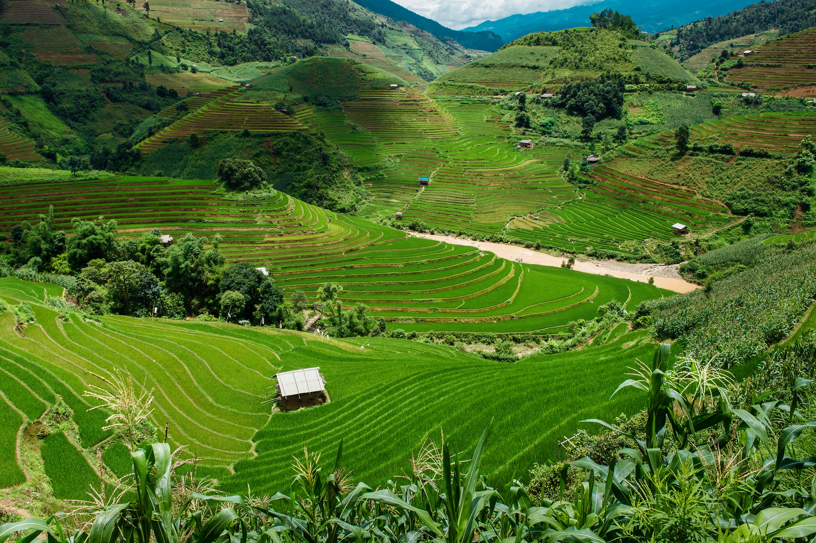 Reisterrassen in den Bergen von Nordvietnam