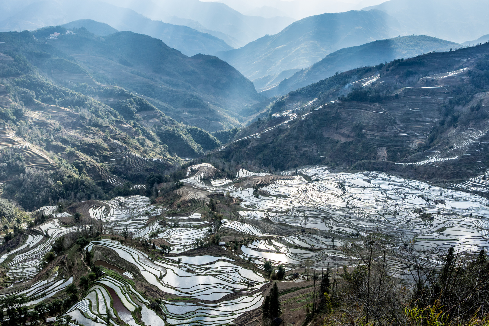 Reisterrassen in Xinjie, Yunnan