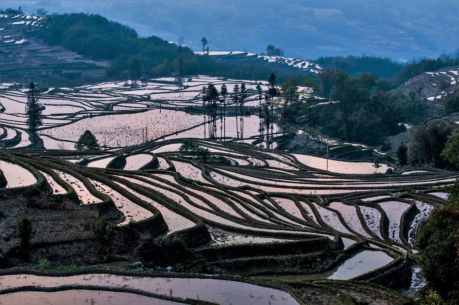 Reisterrassen in Yunnan