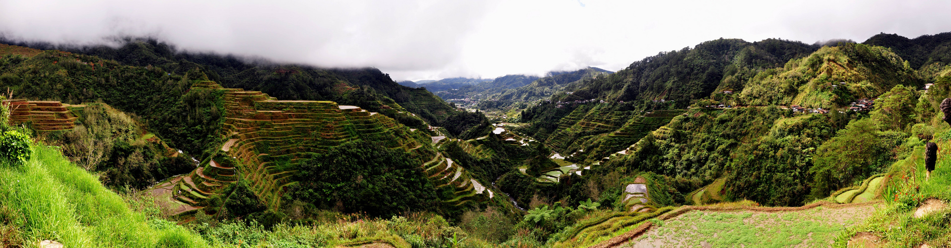 Reisterrassen von Banaue