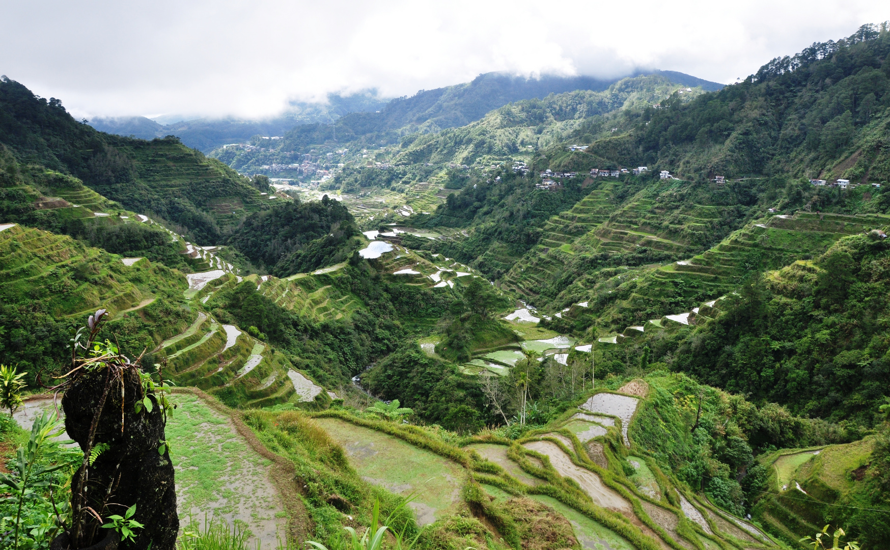 Reisterrassen von Banaue_01