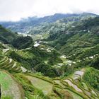 Reisterrassen von Banaue_01