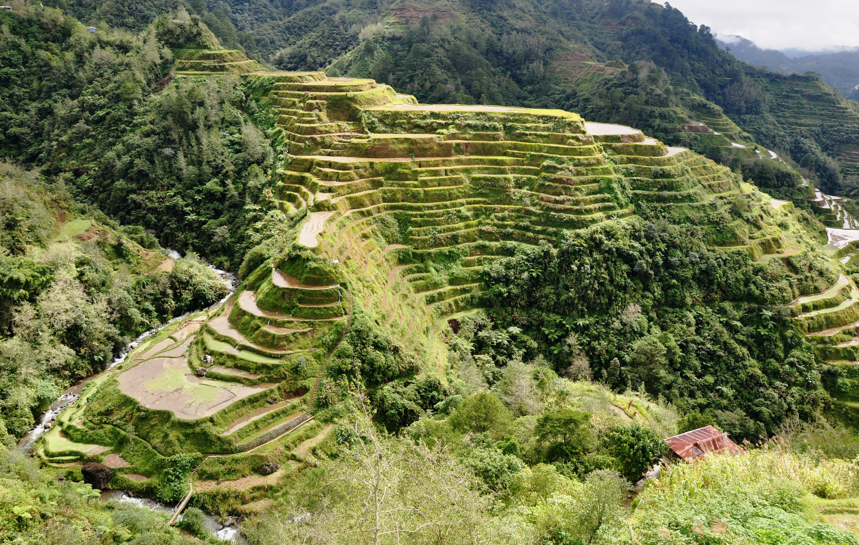 Reisterrassen von Banaue_02