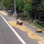 Reistrocknen am Straßenrand
