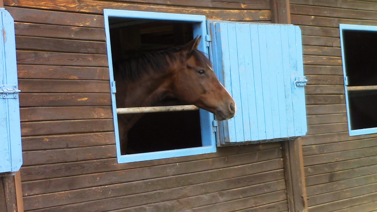 Reitanlage alter Landsitz,Sommerstorf/Waren