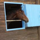 Reitanlage alter Landsitz,Sommerstorf/Waren