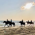 Reitausflug am Strand