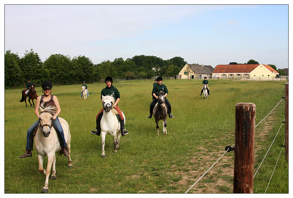 Reiten 3