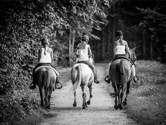 Reiten