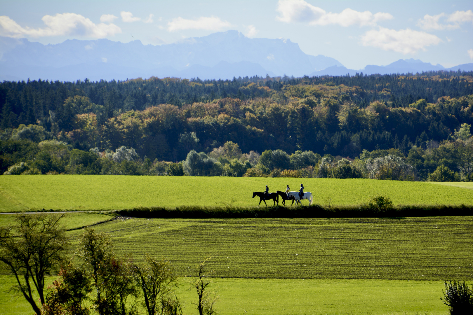 Reiten