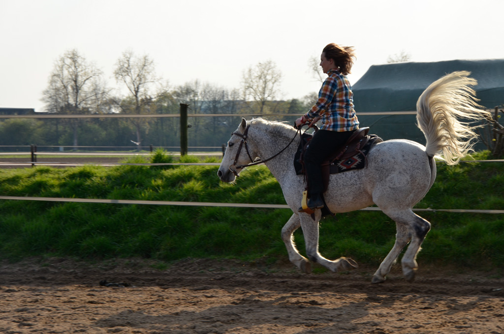 Reiten