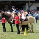 Reiten als Therapie