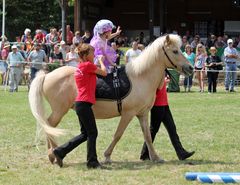 Reiten als Therapie