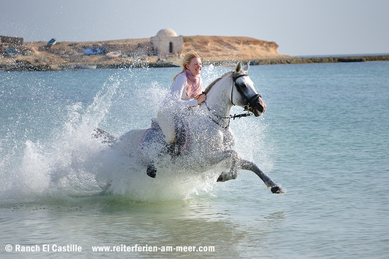 Reiten am Meer