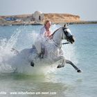 Reiten am Meer