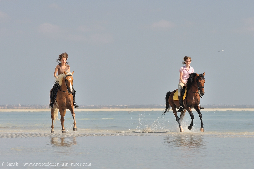 Reiten am Meer