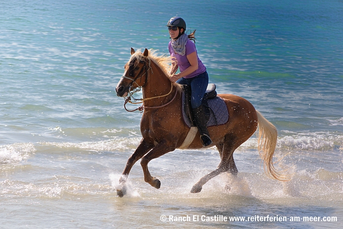 Reiten am Meer