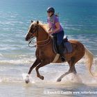 Reiten am Meer