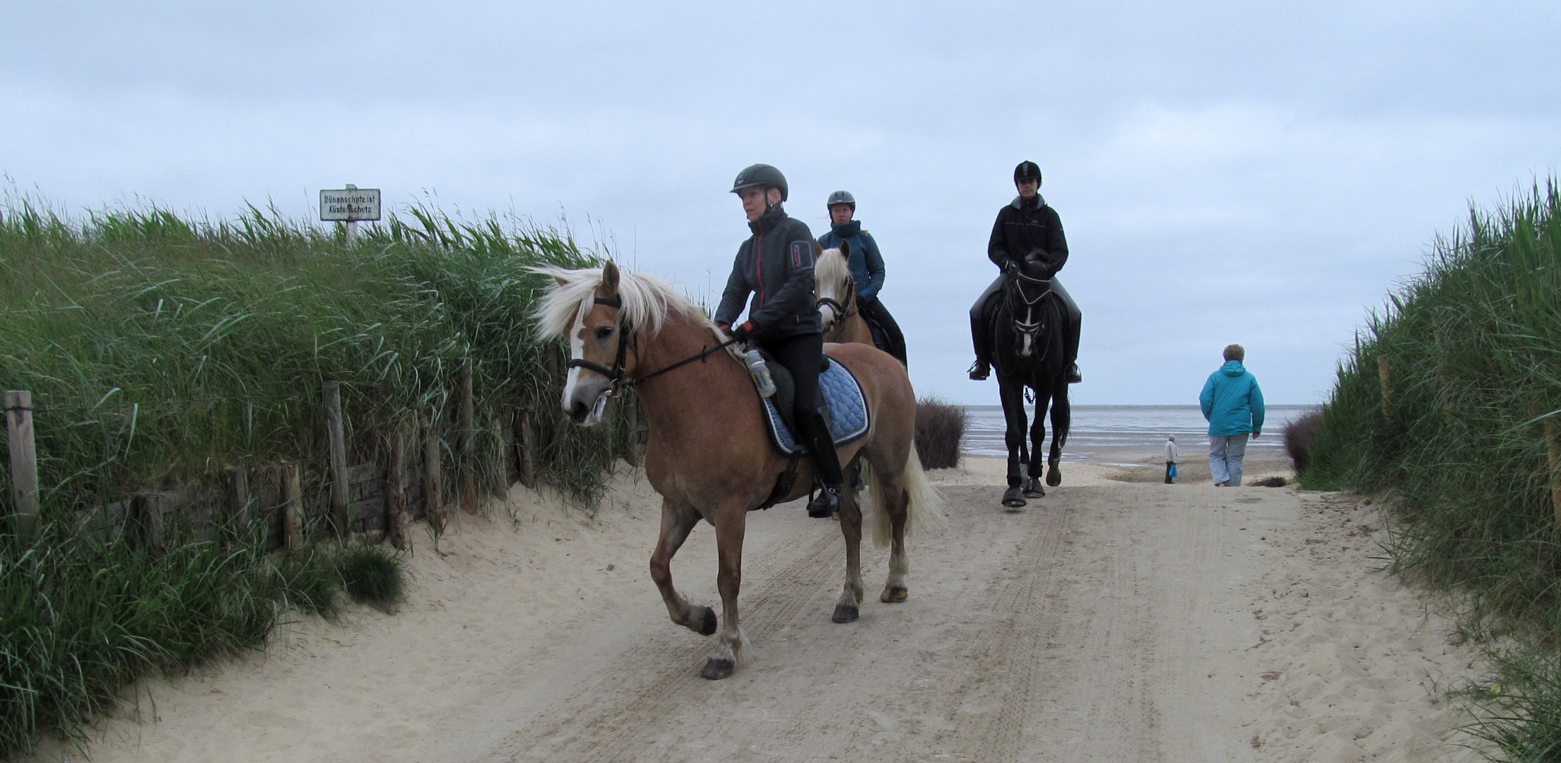 Reiten am Morgen ...