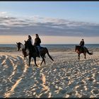 Reiten am Nordseestrand . .