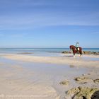 Reiten am Strand