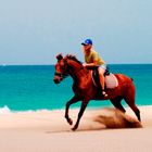 Reiten am Strand