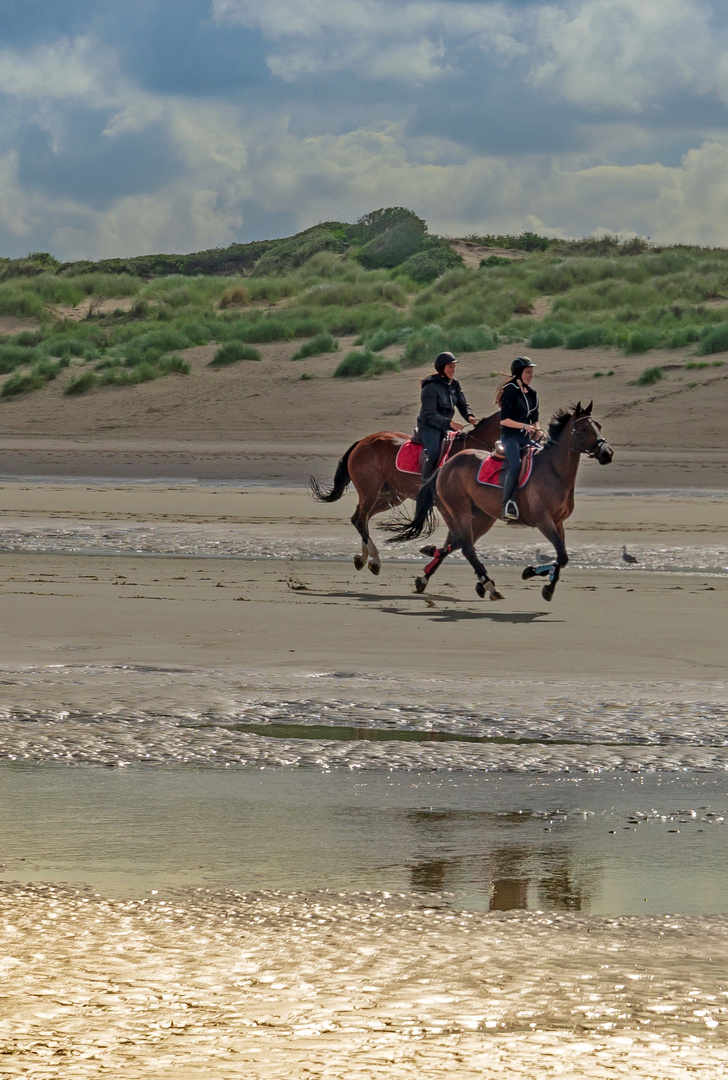 Reiten am Strand 