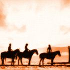 Reiten am Strand von St. Peter Ording