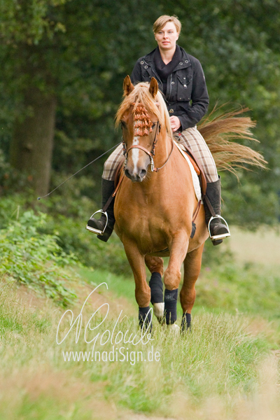 Reiten am Waldrand