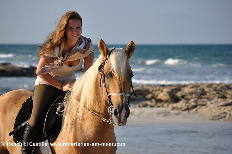 Reiten auf Berberpferden