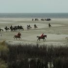 Reiten auf Borkum