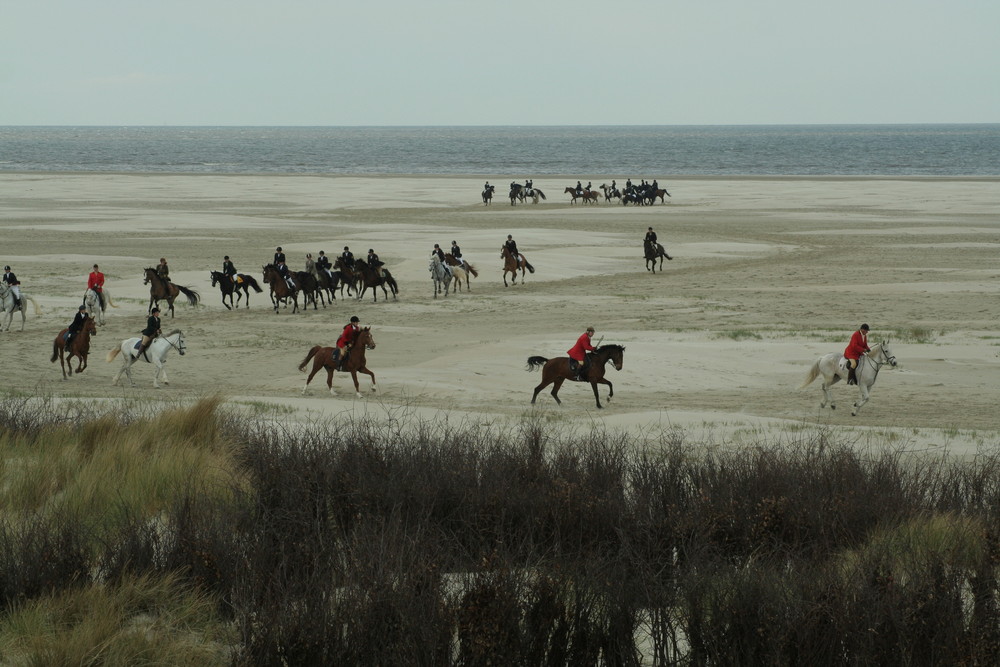 Reiten auf Borkum