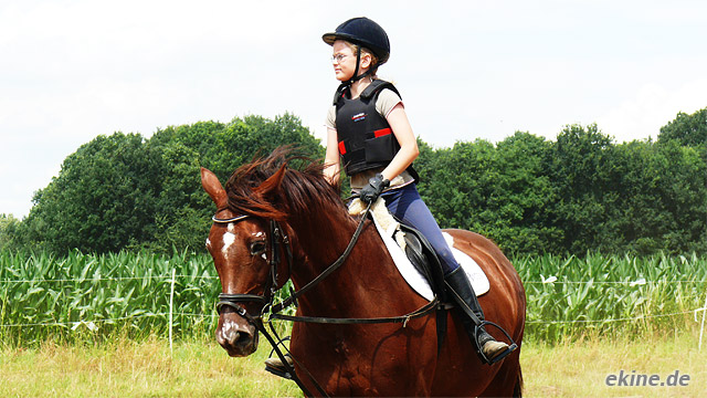 Reiten auf dem Dressurplatz