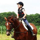 Reiten auf dem Dressurplatz