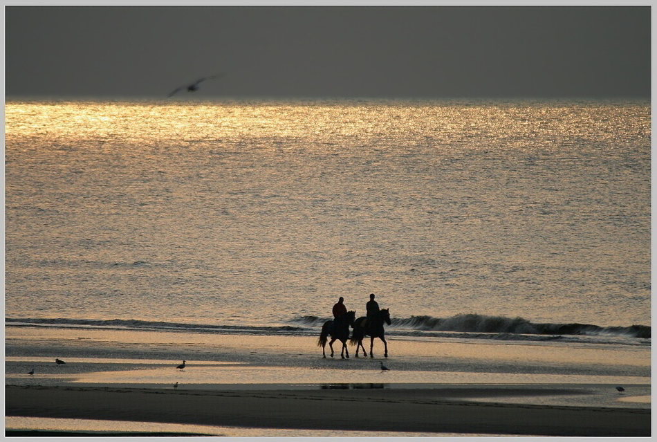 Reiten bei Sonnenuntergang