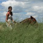 reiten durch die Wiesen