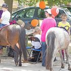 Reiten fördert die Gesundheit