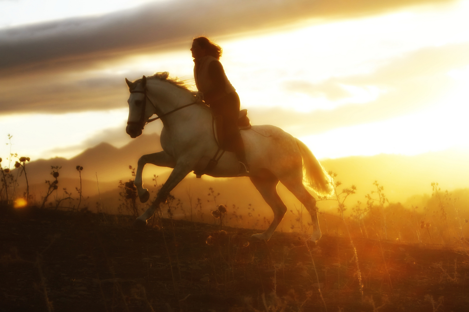 Reiten im letzten Sonnenlicht