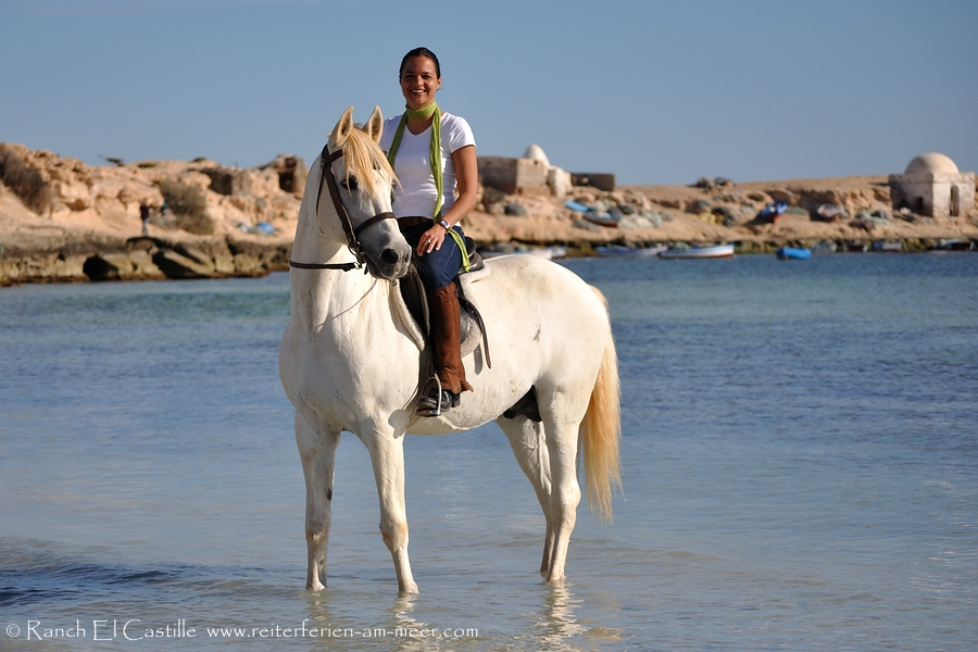 Reiten im Meer