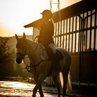 Reiten im Sonnenaufgang