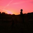 Reiten im Sonnenuntergang