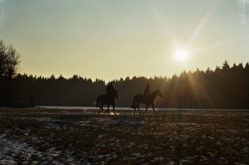 Reiten im Sonnenuntergang