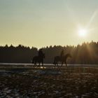 Reiten im Sonnenuntergang