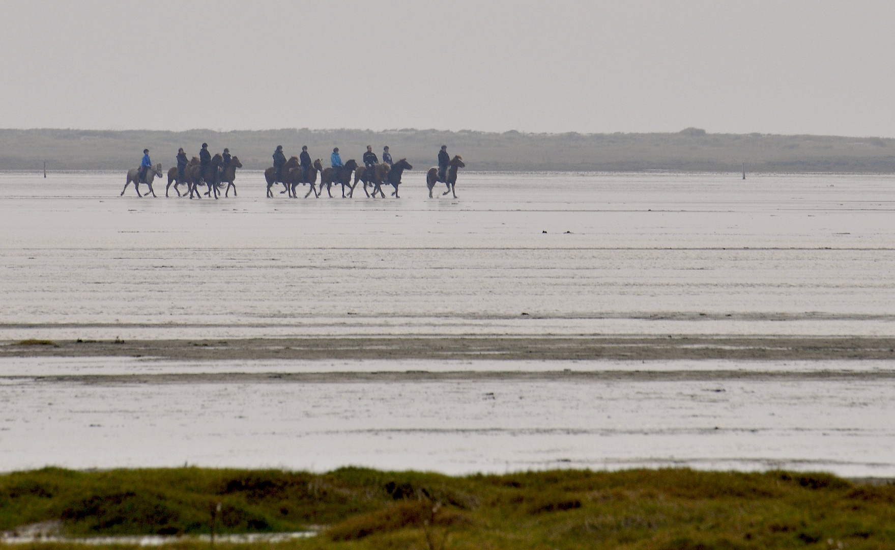 reiten im Watt