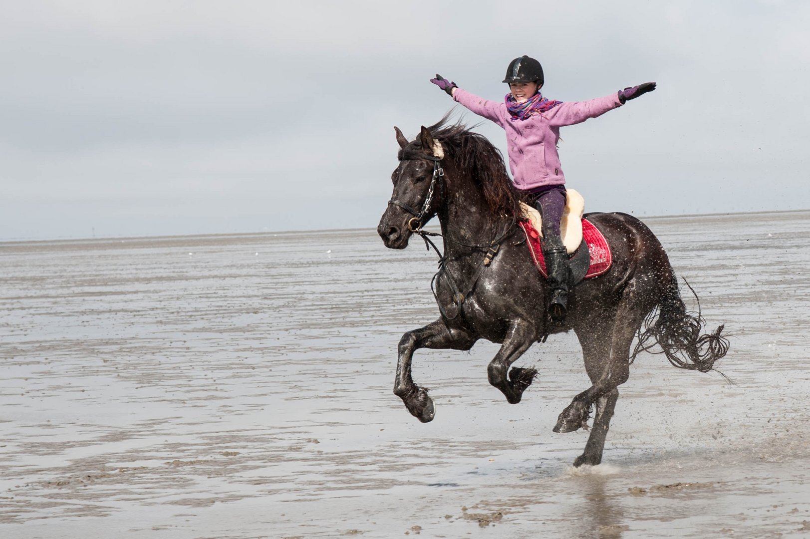 Reiten im Watt