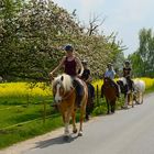 Reiten in den Frühling