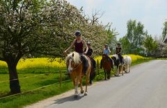 Reiten in den Frühling